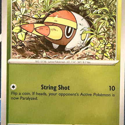 Carta individual Pokémon Grubbin 002/084, set Pitch Black, en Thunder Cards México Reverse