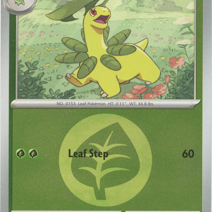 Carta Pokémon Bayleef 009/217 - Ascended Heroes - Thunder Cards