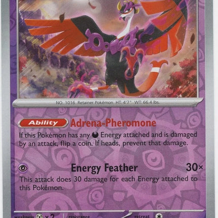 Carta Individual Pokémon Fezandipiti 096/167, , set Twilight Masquerade,  Thunder Cards México, Reverse Holo
