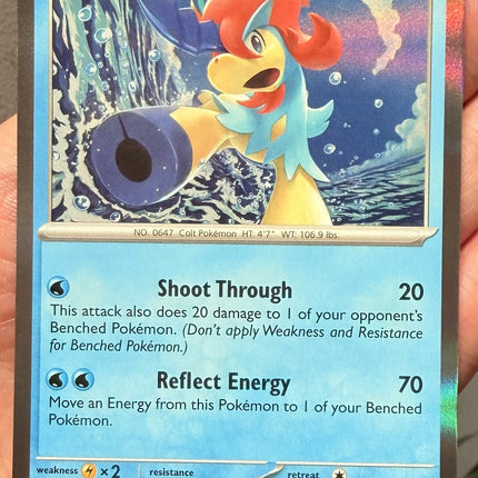 Carta individual de Pokémon TCG Keldeo 019/086 rara, Basic, set ME4 Chaos Rising. Ilustración dinámica de Keldeo Forma Brío nadando en las profundidades del océano por Mitsuhiro Arita - Thunder Cards México.