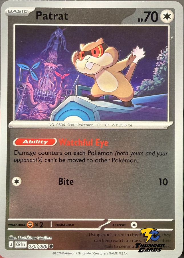 Carta Individual Pokémon Patrat Reverse 070/086, BASIC Pokémon 70 HP, set Chaos Rising, Ilustración de Souichirou Gunjima - Thunder Cards México